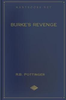 Burke's Revenge by R. B. Pottinger