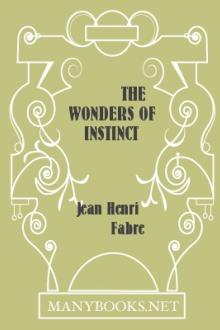 The Wonders of Instinct by Jean-Henri Fabre