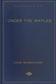 Under the Maples by John Burroughs