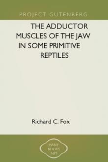 The Adductor Muscles of the Jaw In Some Primitive Reptiles by Richard C. Fox