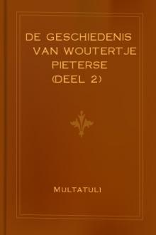 De Geschiedenis van Woutertje Pieterse (Deel 2) by Multatuli