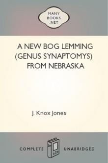 A New Bog Lemming (Genus Synaptomys) From Nebraska by J. Knox Jones
