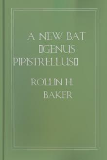 A New Bat (Genus Pipistrellus) from Northeastern Mexico by Rollin Harold Baker