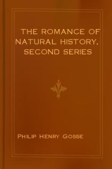 The Romance of Natural History, Second Series by Philip Henry Gosse