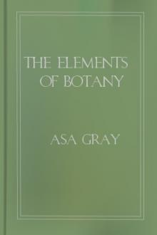 The Elements of Botany by Asa Gray