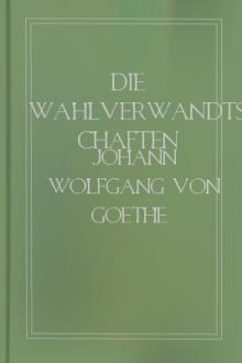Die Wahlverwandtschaften  by Johann Wolfgang von Goethe