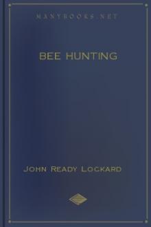 Bee Hunting by John Ready Lockard