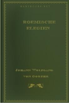 Roemische Elegien by Johann Wolfgang von Goethe