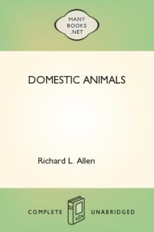 Domestic Animals by Richard L. Allen