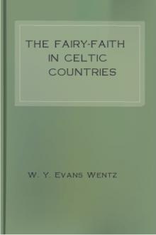 The Fairy-Faith in Celtic Countries by Walter Yeeling Evans-Wentz