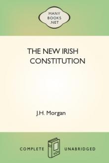 The New Irish Constitution by Unknown