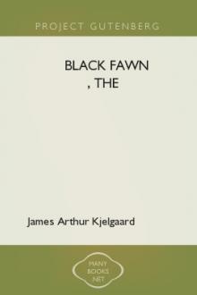 The Black Fawn by James Arthur Kjelgaard