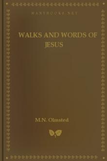 Walks and Words of Jesus by Unknown