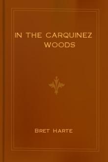 In The Carquinez Woods by Bret Harte