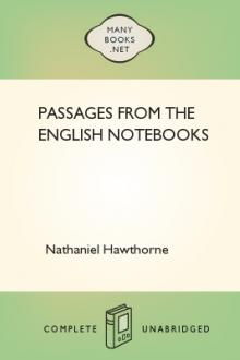 Passages From the English Notebooks by Nathaniel Hawthorne