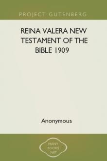 Reina Valera New Testament of the Bible 1909 by Unknown