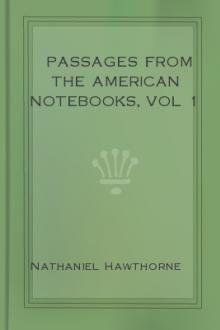 Passages from the American Notebooks, vol 1 by Nathaniel Hawthorne
