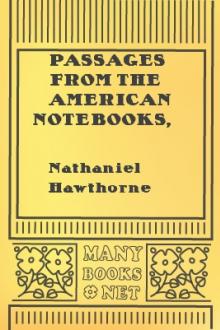 Passages from the American Notebooks, vol 2 by Nathaniel Hawthorne