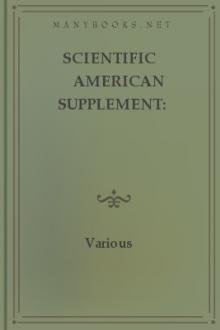 Scientific American Supplement: April 9, 1881 by Various Authors