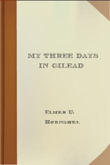 My Three Days In Gilead by Elmer U. Hoenshel