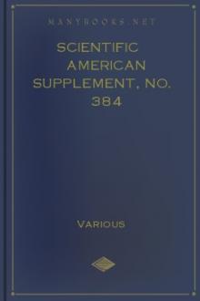 Scientific American Supplement, No. 384 by Various Authors