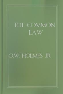 The Common Law by Jr. O. W. Holmes