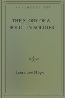 The Story of a Bold Tin Soldier by Laura Lee Hope