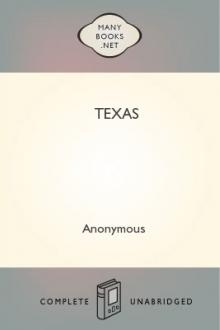 Texas by Unknown