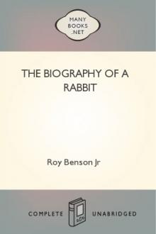 The Biography of a Rabbit by Roy Benson Jr