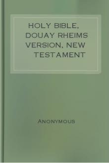 Holy Bible, Douay Rheims Version, New Testament by Unknown