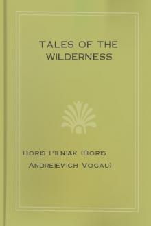 Tales of the Wilderness  by Boris Pilniak