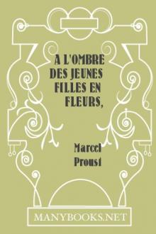 A L'Ombre Des Jeunes Filles en Fleurs, vol 1 by Marcel Proust