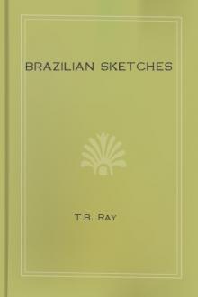 Brazilian Sketches by T. B. Ray