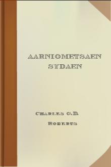 Aarniometsaen Sydaen by Charles G. D. Roberts
