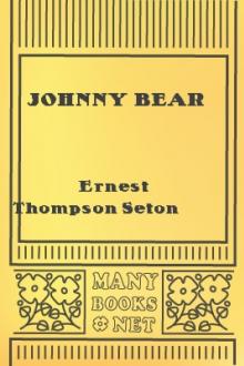 Johnny Bear by Ernest Thompson Seton