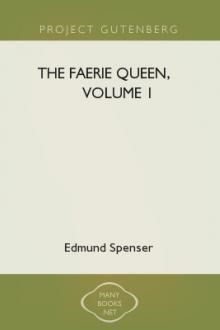 The Faerie Queen, Volume 1 by Edmund Spenser