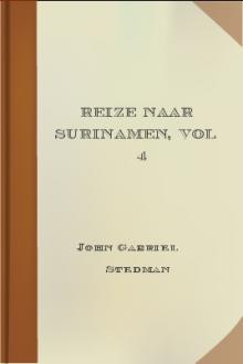 Reize naar Surinamen, vol 4 by John Gabriel Stedman