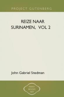 Reize naar Surinamen,  vol 2 by John Gabriel Stedman