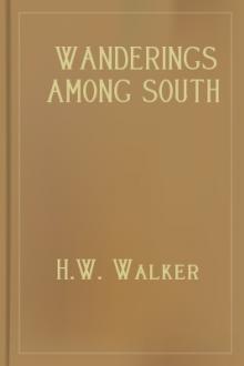 Wanderings Among South Sea Savages by H. W. Walker