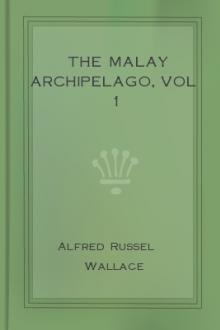 The Malay Archipelago, vol 1 by Alfred Russel Wallace