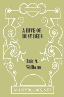 A Hive of Busy Bees by Effie M. Williams