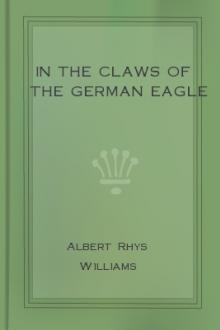 In the Claws of the German Eagle by Albert Rhys Williams