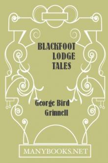 Blackfoot by W.R. Gingell