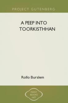A Peep into Toorkisthhan by Rollo Gillespie Burslem
