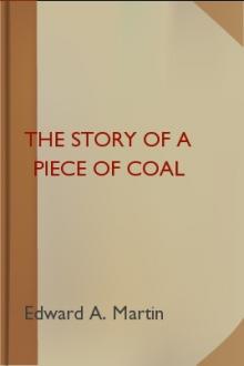 The Story of a Piece of Coal by Edward A. Martin