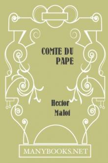 Comte du Pape by Hector Malot