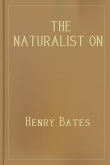 The Naturalist on the River Amazons by Henry Bates
