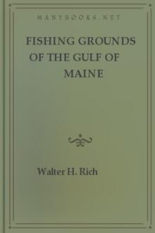 Fishing Grounds of the Gulf of Maine by Walter H. Rich