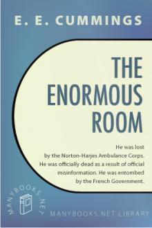 The Enormous Room by Edward Estlin Cummings