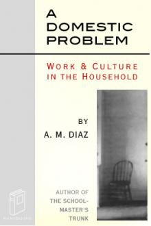 A Domestic Problem by Abby Morton Diaz